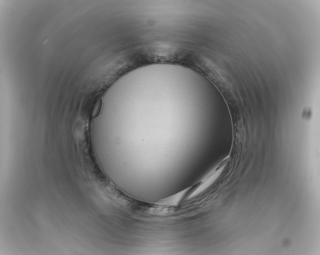 X0000093580225200711051124