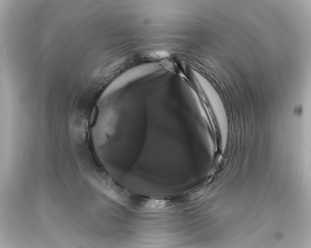 X0000093580227200711051124