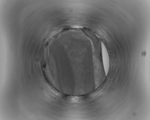 X0000093580229200711051124