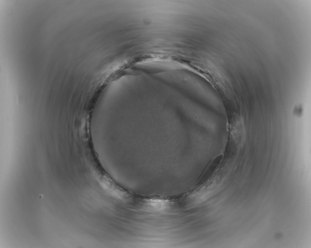 X0000093580233200711051124