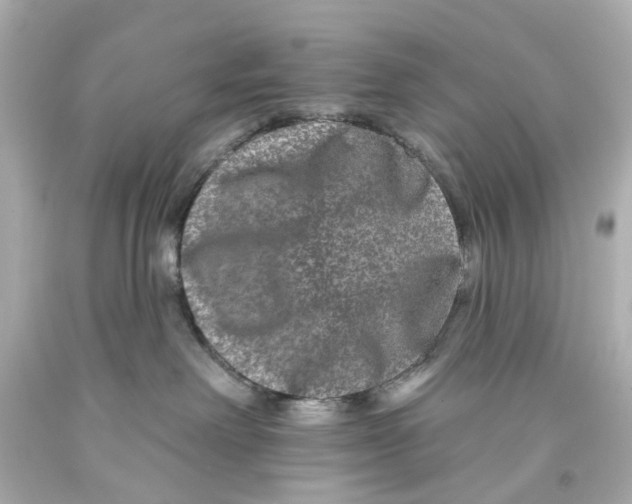 X0000093580238200711051124