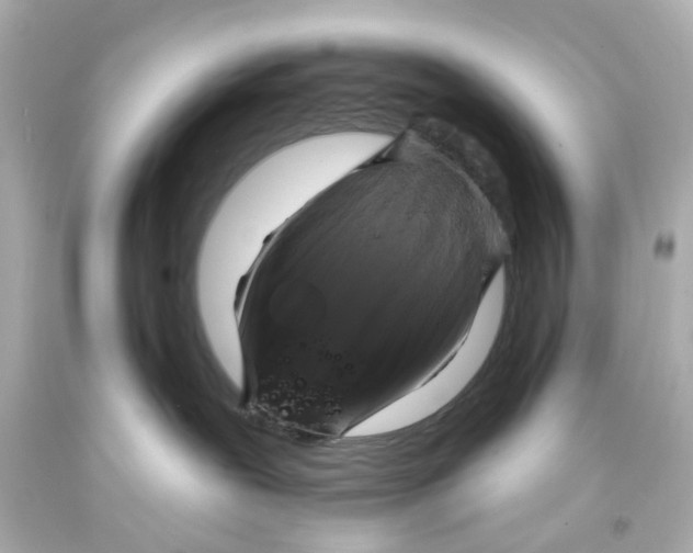 X0000093580239200711051124