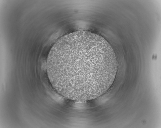 X0000093580240200711051124