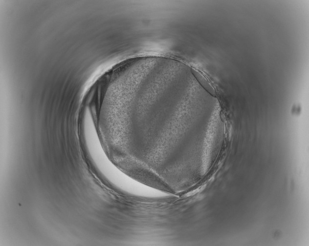 X0000093580244200711051123