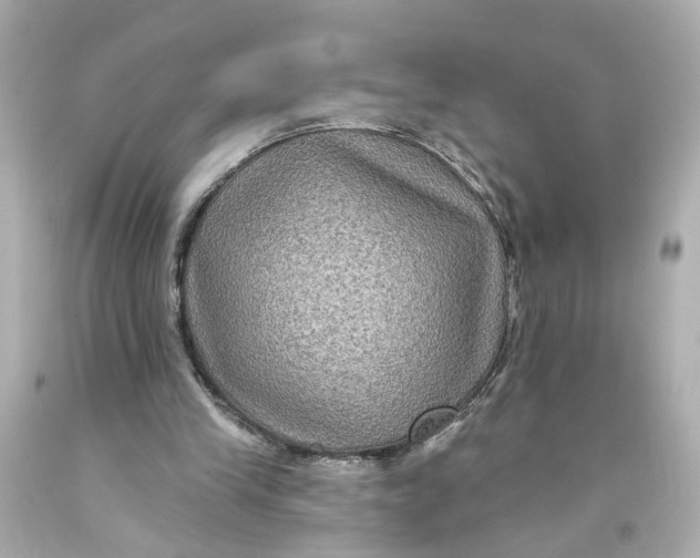 X0000093580245200711051123