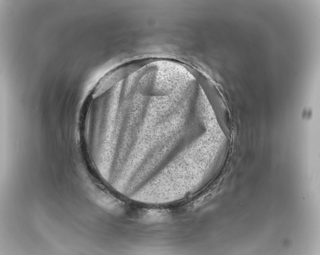 X0000093580248200711051123