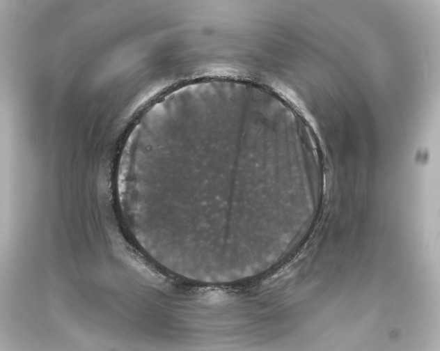 X0000093580249200711051123