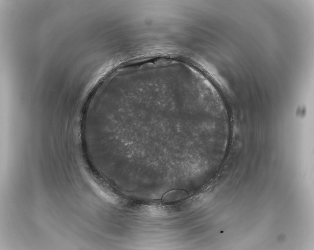 X0000093580250200711051123