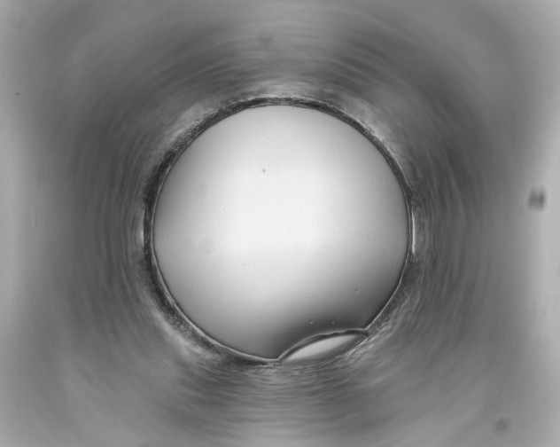 X0000093580253200711051123