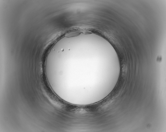 X0000093580254200711051123