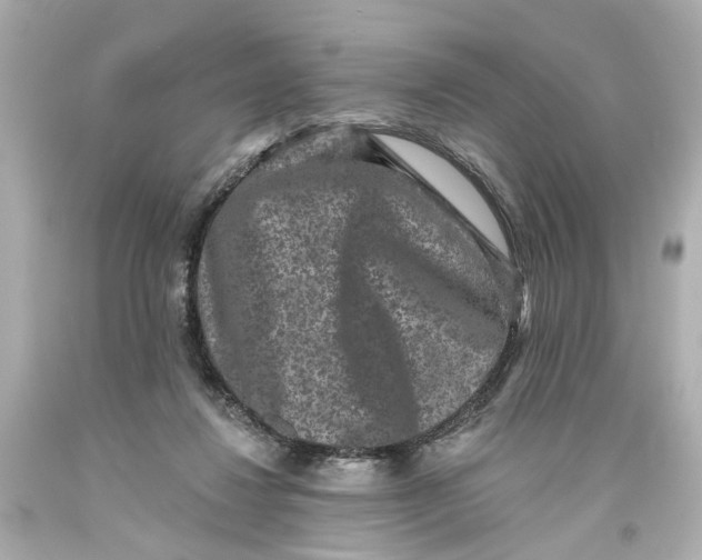 X0000093580260200711051123