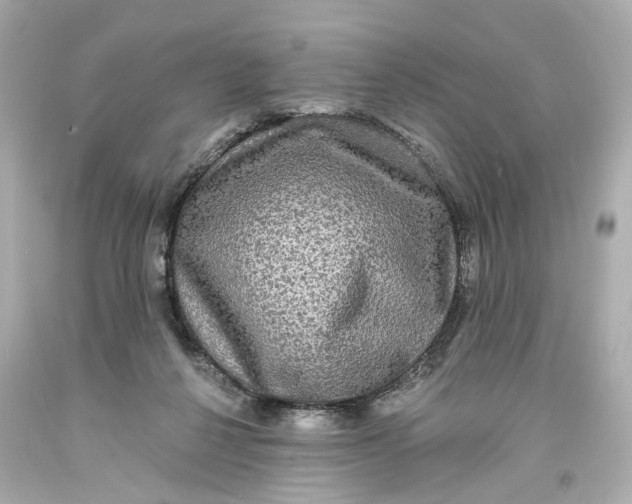 X0000093580264200711051123