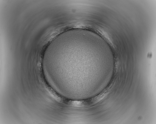 X0000093580265200711051123