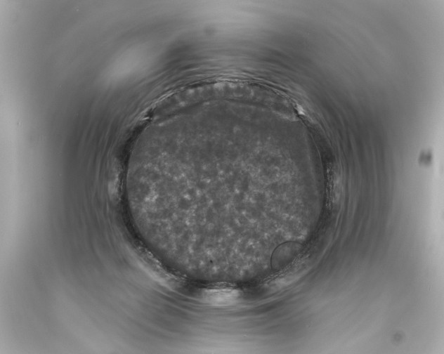 X0000093580266200711051123