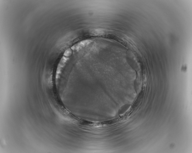 X0000093580267200711051123