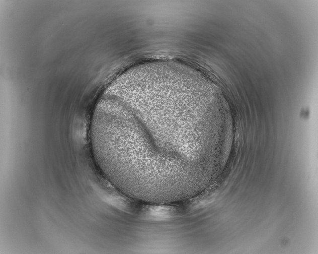 X0000093580268200711051123