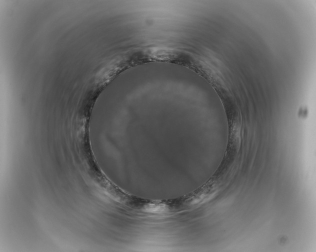 X0000093580271200711051124