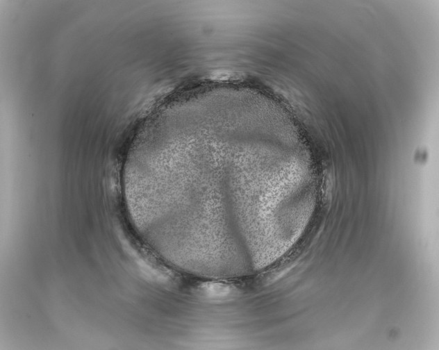 X0000093580272200711051124