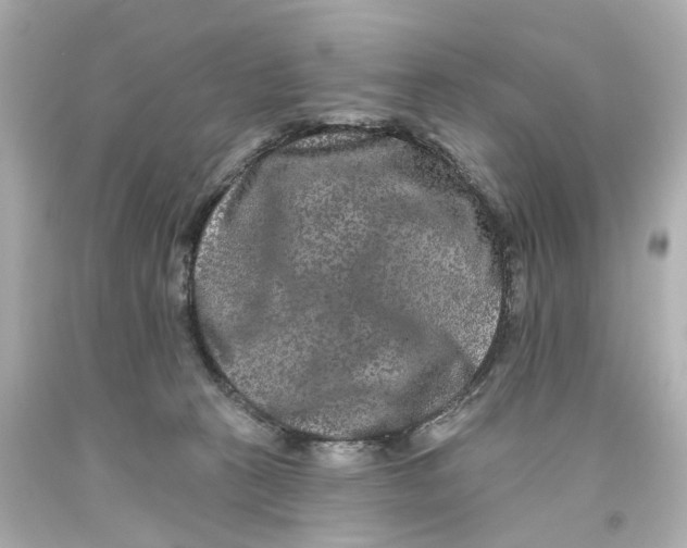 X0000093580273200711051124