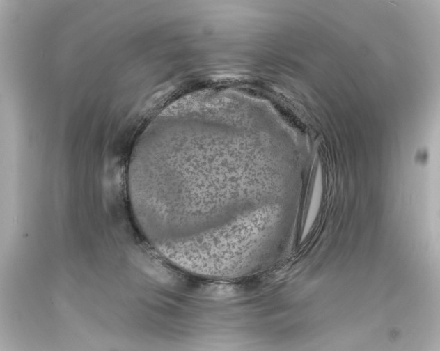 X0000093580276200711051124