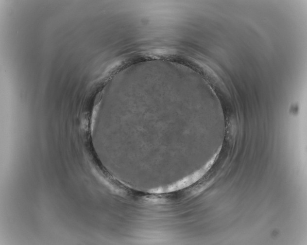 X0000093580284200711051124