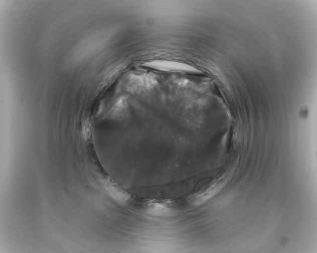 X0000093580285200711051124