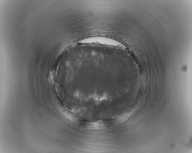 X0000093580286200711051124