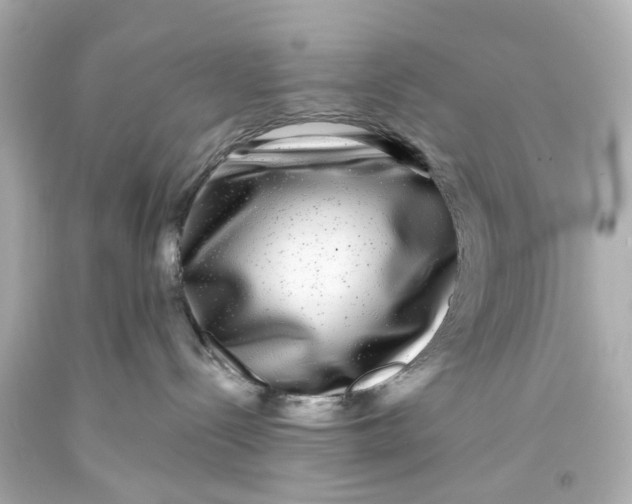 X0000093580288200711051124