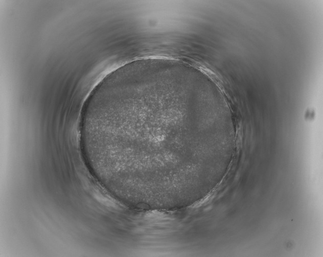 X0000093580290200711051123