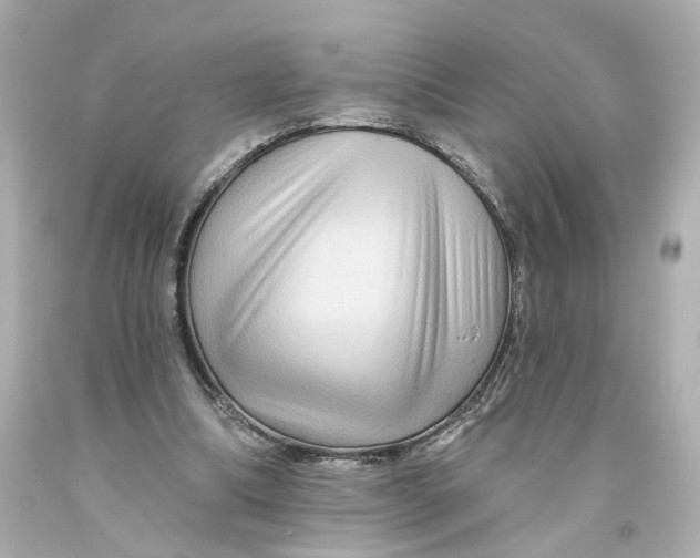 X0000093580298200711051123