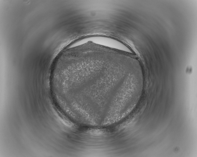 X0000093580299200711051123