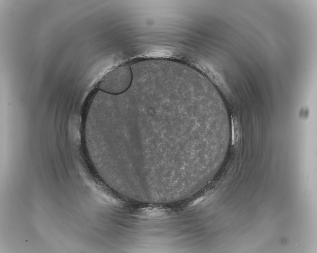 X0000093580300200711051123