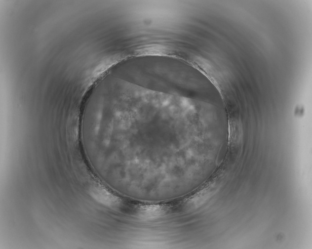 X0000093580301200711051123