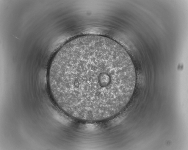 X0000093580302200711051123