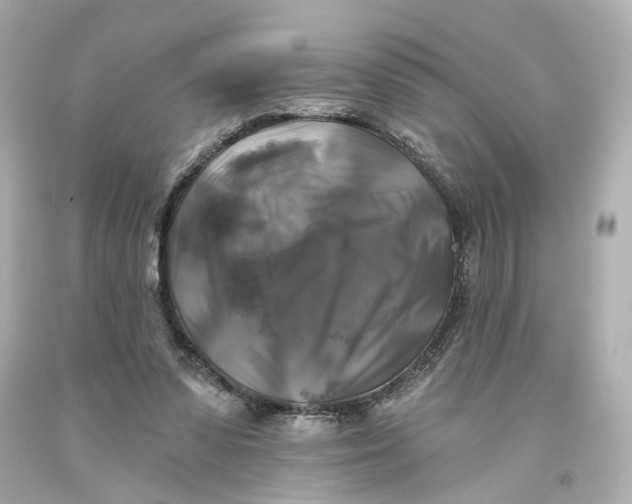 X0000093580303200711051123