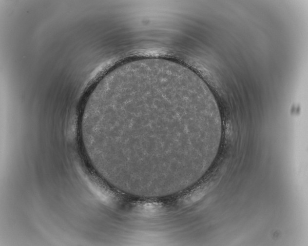 X0000093580304200711051123