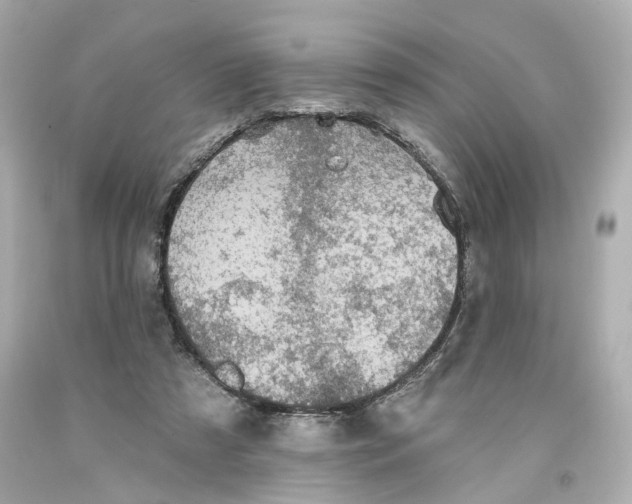 X0000093580305200711051123