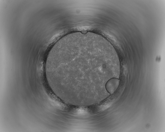 X0000093580308200711051123