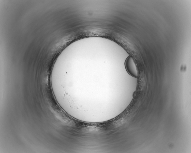 X0000093580310200711051123