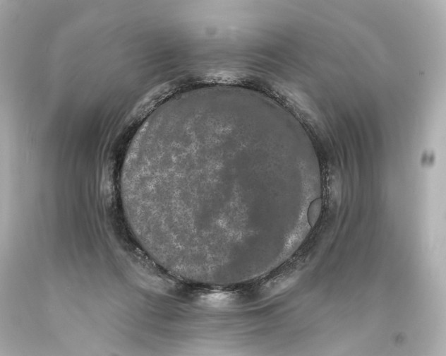 X0000093580312200711051123