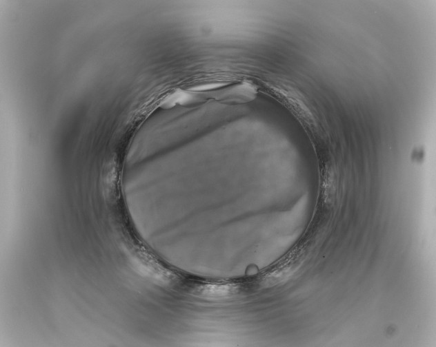 X0000093580314200711051123