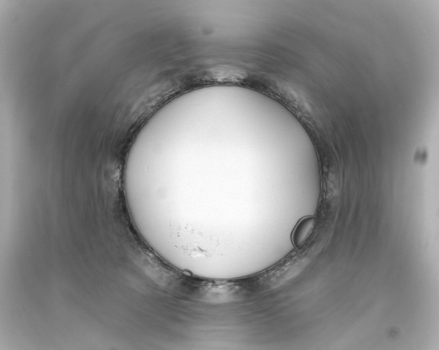 X0000093580321200711051123