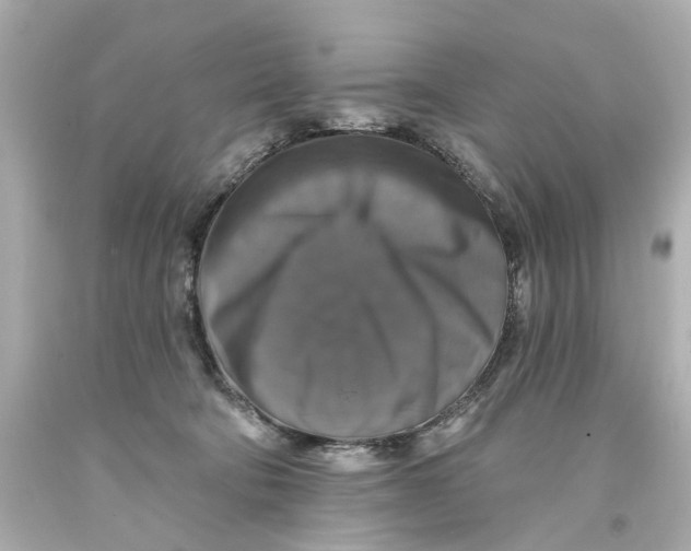 X0000093580322200711051123