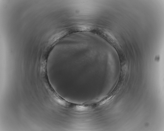 X0000093580325200711051123