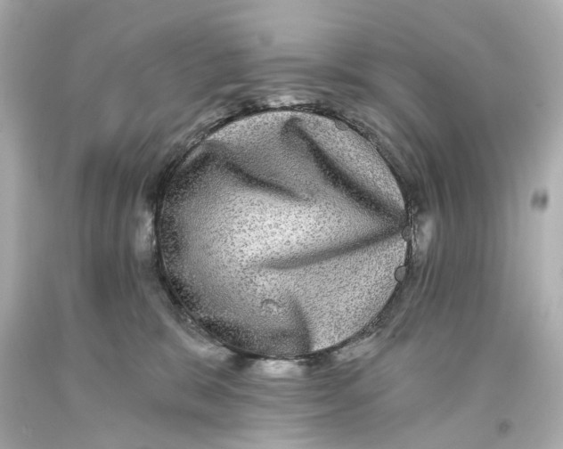 X0000093580327200711051123