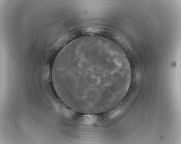 X0000093580328200711051123