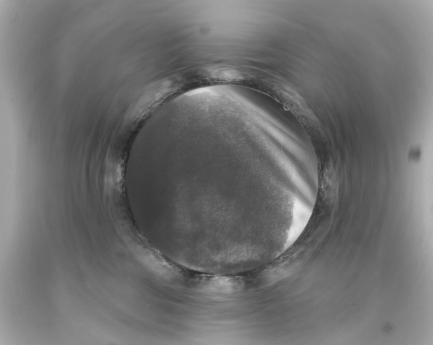 X0000093580330200711051123