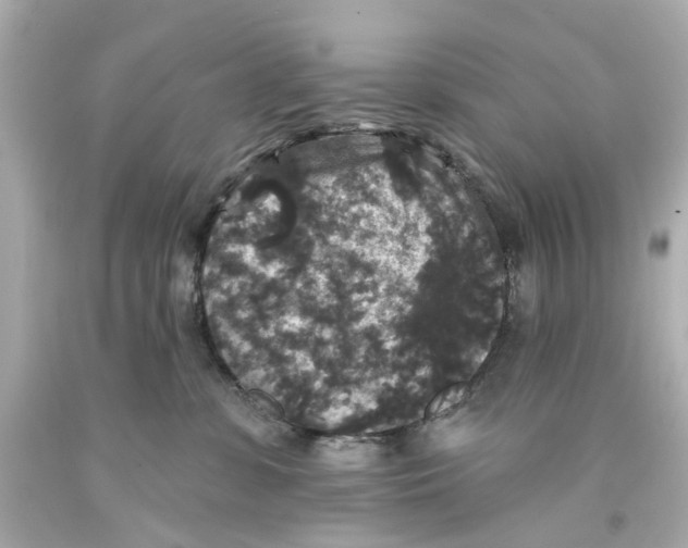 X0000093580331200711051123