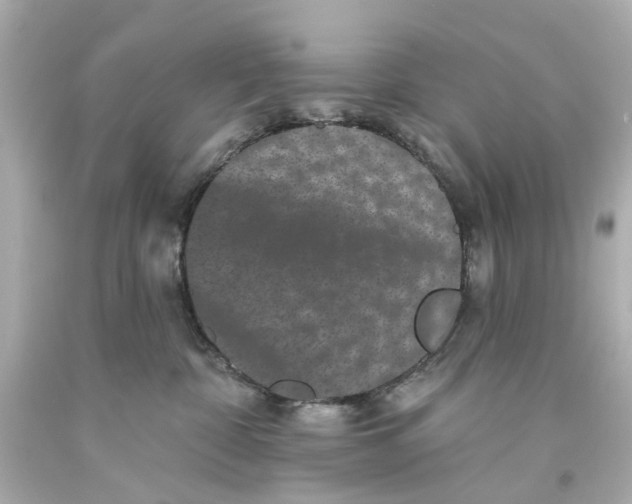 X0000093580332200711051123