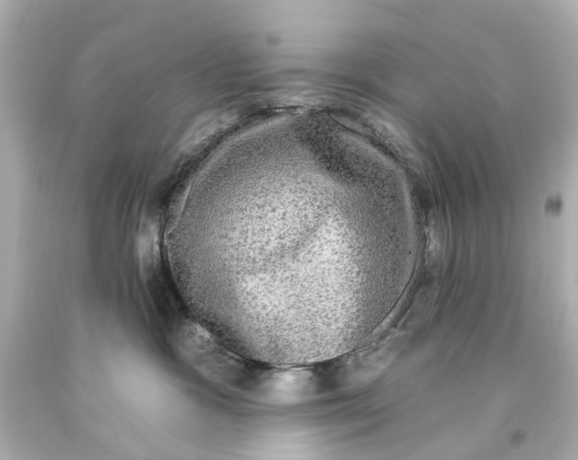 X0000093580333200711051123